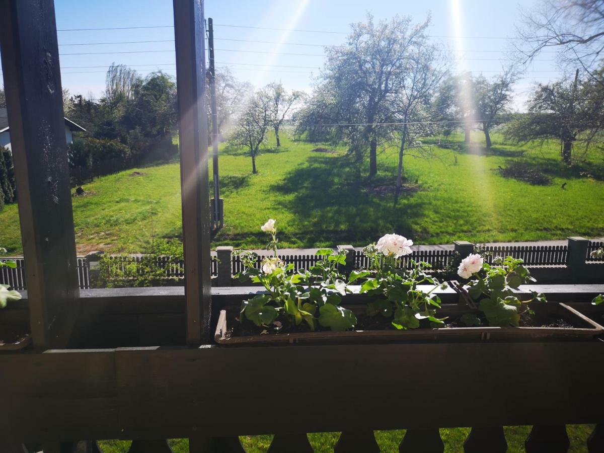 Seeblick Muhlau