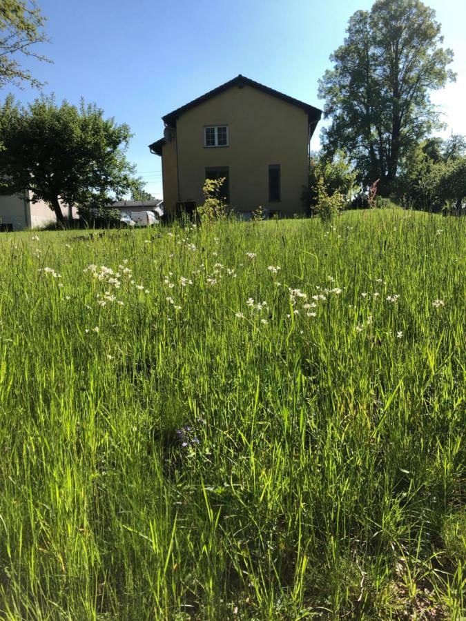 Seeblick Muhlau